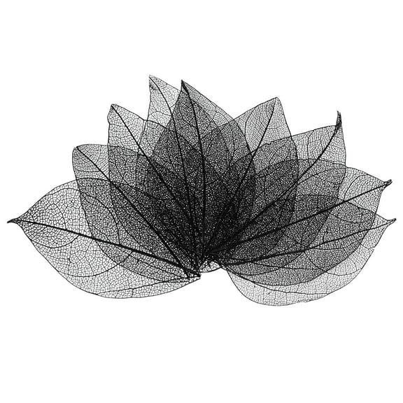 100-Pack Skeleton Leaves, Natural Rubber Tree Dried Pressed Leaves Vein [4-6cm, Black]