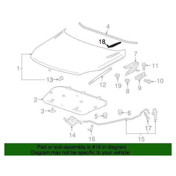 GM 20924506 Ornament Asm-Hood