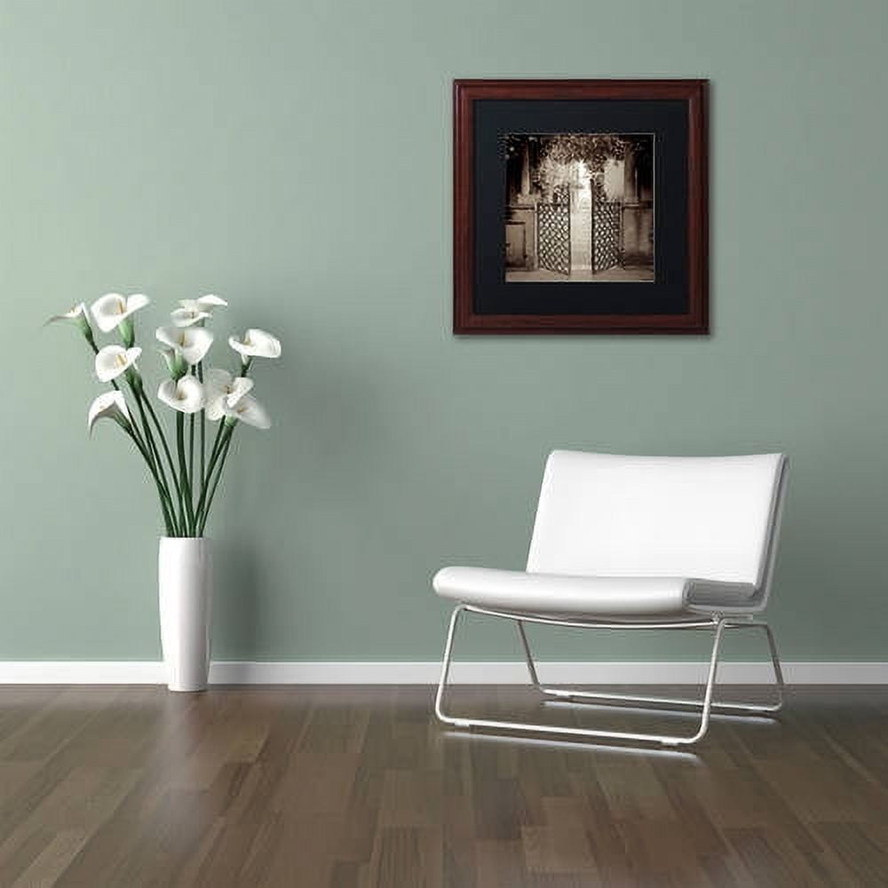 Trademark Fine Art "Venezia V" Canvas Art by Alan Blaustein, Black Matte, Wood Frame