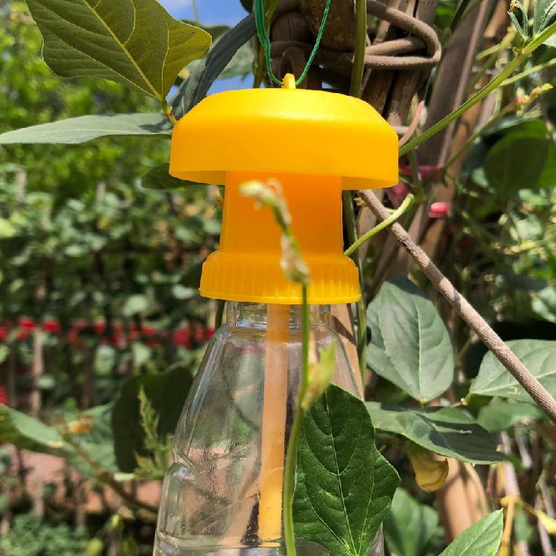 Buy TONKBEEY Yellow Plastic Fly Trap Killer Cap Fly Drosophila Trap