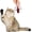 Red, variant on Kat Fly 2 Inch Handmade Cat Toy Teaser Wand Refill Beetle - Red Natural Material Toy