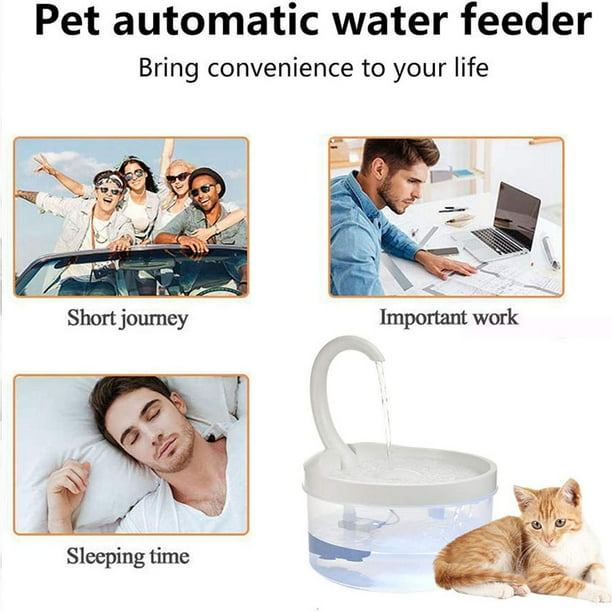 Pet drinking fountain on sale canada