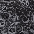 thumbnail image 5 of Star Wars Darth Vader Black and White Paisley Tie, 5 of 6