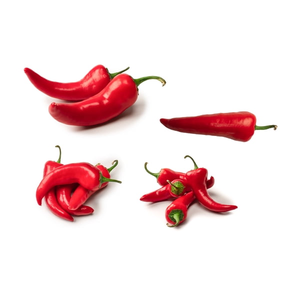 Red Hot Chili Pepper Plant - Great for Salsa! - 2.5" Pot