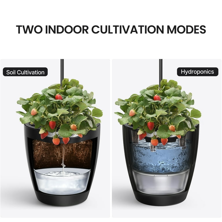 You Grow - GOBI DESHUMIDIFICADOR 50L Para garantizar las condiciones  óptimas para el desarrollo de las plantas, es necesario mantener un nivel  adecuado de humedad en la sala de cultivo. El secador