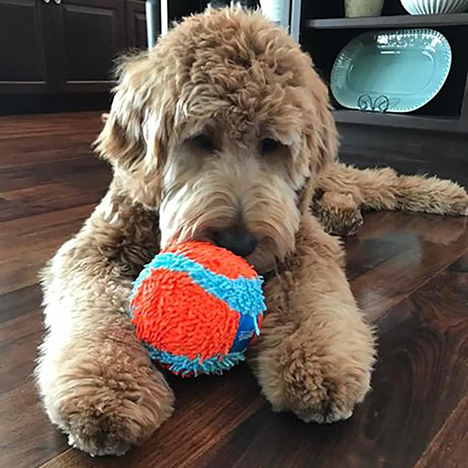 Chuckit! INDOOR FETCH TOYS Dog & Puppy Soft Interactive Play ROLLER BALL 2 PACK
