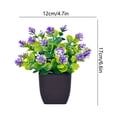 thumbnail image 3 of SIYTUAU Plastic Small Bonsai Artificial Pottery Simulation Green Plant For Home Desktop 6.5X7 Cm Pot Height 17Cm, 3 of 6