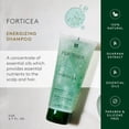 thumbnail image 2 of Champú Rene Furterer Forticea Strengthening Vitality 600 ml, 2 of 6