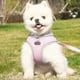 thumbnail image 4 of Juego de ArnéS y Correa para Gatos a Prueba de Escapes, ArnéS de Ajustable para Perros, Chaleco, Correa para Caminar para Cachorros y Mascotas (B), S, 4 of 7