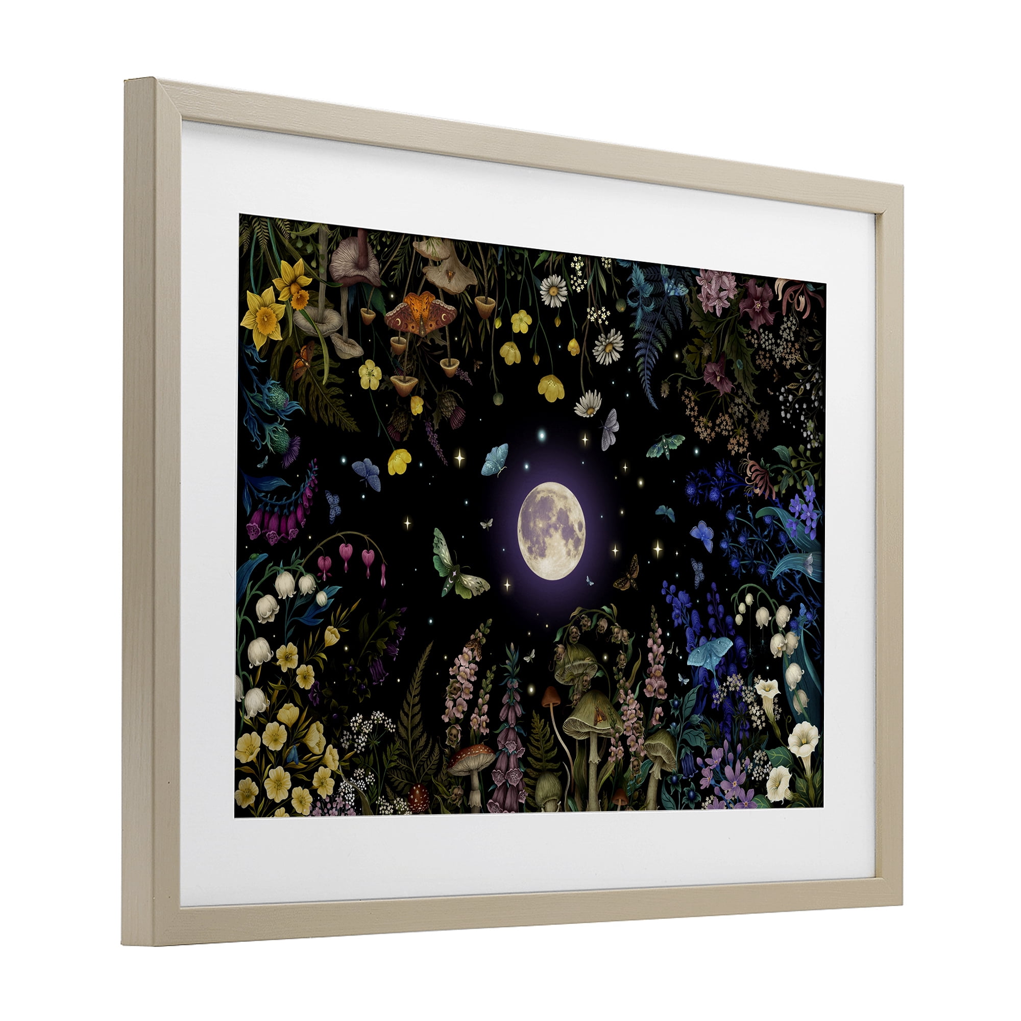 Stupell Industries Night Garden with Moth Birch Framed Print Under Glass, design by Episodic Drawings