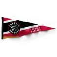 thumbnail image 1 of The Sports Vault Toronto Raptors Fanion de Collection, 1 of 1
