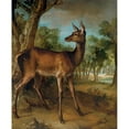 thumbnail image 3 of Jean-Baptiste Oudry 20x24 Black Modern Framed Museum Art Print Titled - The Watchful Doe (‘Biche Aux Auges’) (1729), 3 of 5