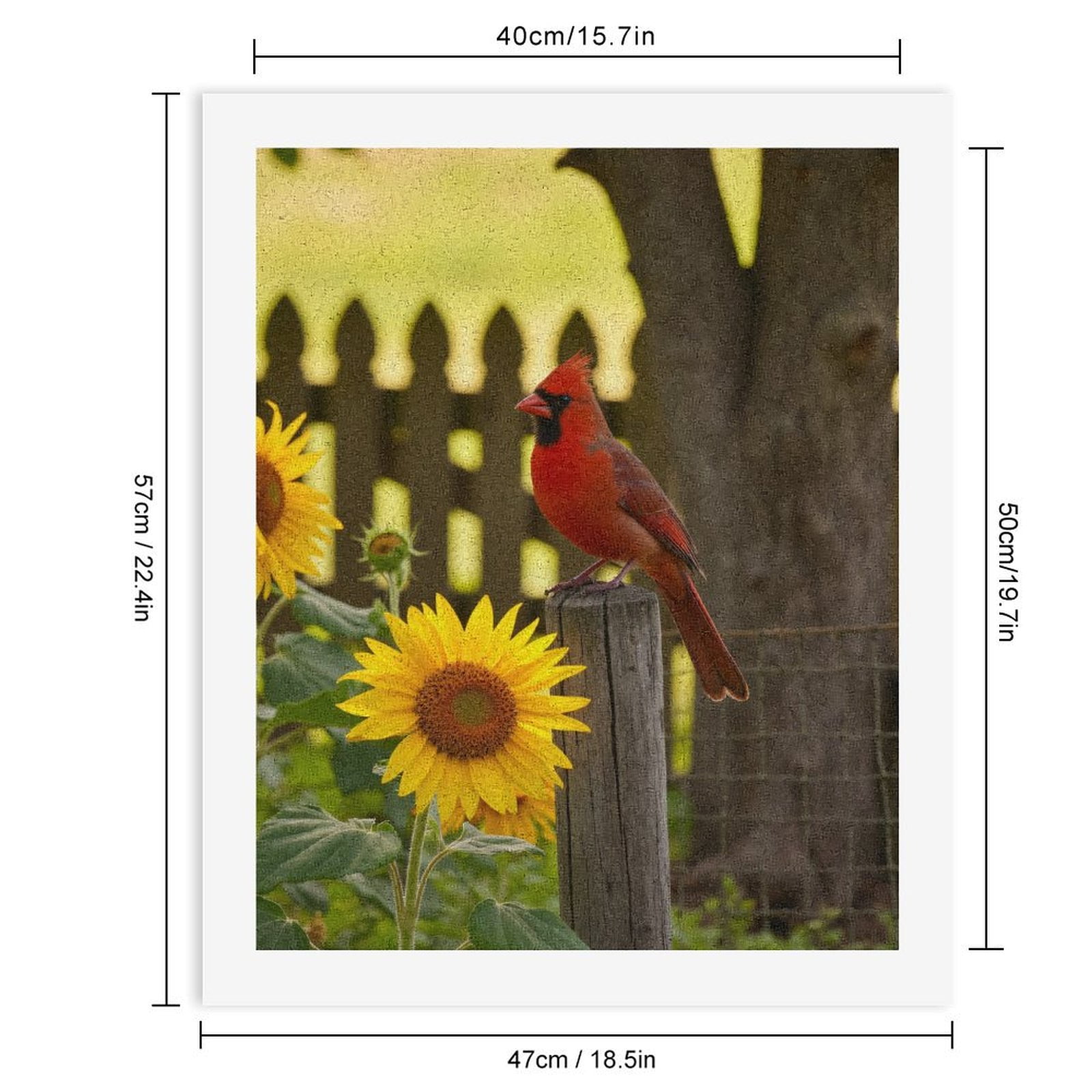 Paint By Numbers Kit for Adults Beginner - DIY Cardinal On Fence With Sunflowers Canvas Painting Kits for Adults, Frameless Paint By Number for Adults for Home Wall Decor 16x20 Inch