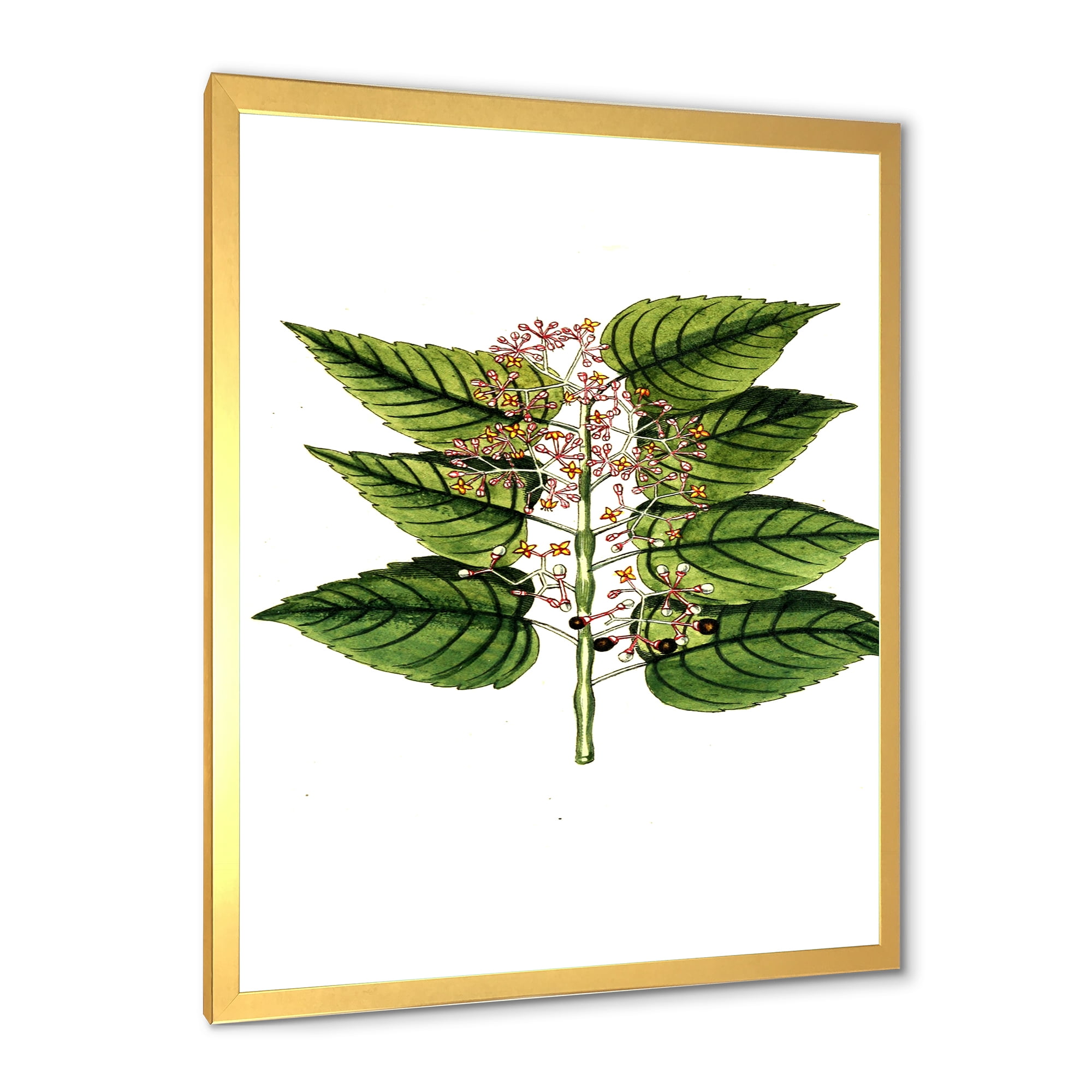 Designart 'Ancient Plant Life XXVI' Traditional Framed Art Print