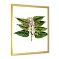 thumbnail image 2 of Designart 'Ancient Plant Life XXVI' Traditional Framed Art Print, 2 of 4
