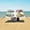 Colorful Vehicles Trucks, variant on Portable Beach Tent Sun Shelter With Ground Pegs Water And Wind Resistant Sun Shade Canopy Angle Adjustable Black White Ink Painting