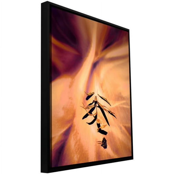 ArtWall Dean Uhlinger "Terte" Floater Framed Gallery-Wrapped Canvas