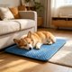 thumbnail image 5 of Alfombrilla refrescante para perros y gatos, lavable, con base antideslizante, almohadilla de hielo portátil para aliviar el calor, múltiples tamaños, uso en interiores y exteriores., 5 of 6