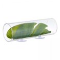 thumbnail image 1 of 3xTúnel Betta Ocultar Estanque Escondite De Peces En Reposo Hábitat Decoración Del Tanque De Desove, 1 of 8