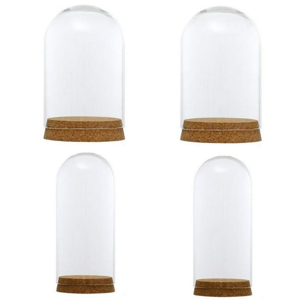 Contenedor Terrario con Base,Cubierta de cúpula de vidrio,terrario suculento,Tarro de campana de cristal,Terrario de plantas,campana de cristal,Cubierta de micro paisaje de