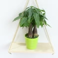 thumbnail image 2 of OULII Industrial Wall Shelf Bamboo Decorative Shelves for Home Use 1Pcs, 2 of 2
