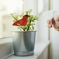 thumbnail image 4 of Style d'Oiseau en Pot Plantes Compteur 18cm Bonsaï Humidité Testeur Rouge, 4 of 8