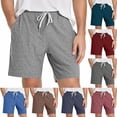 thumbnail image 6 of Smsaxvxz Mens Cotton Breathable Sweat Shorts Casual Comfy Elastic Waist Drawstring Outdoor Running Shorts with Zipper Pockets Brown L, 6 of 6