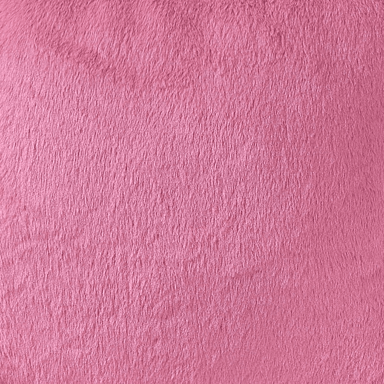 Pink Melon