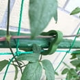 thumbnail image 4 of UPGRATOR 10Ud Sujetadores Para Plantas En Jardín Clips Para Fijar Ramas De Plantas En Macetas, 4 of 8