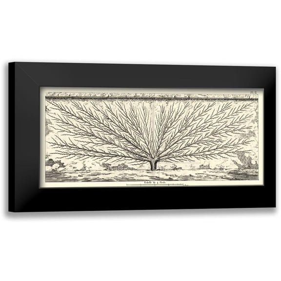 Unknown 14x8 Black Modern Framed Museum Art Print Titled - Antique Diagram for Espaliers III
