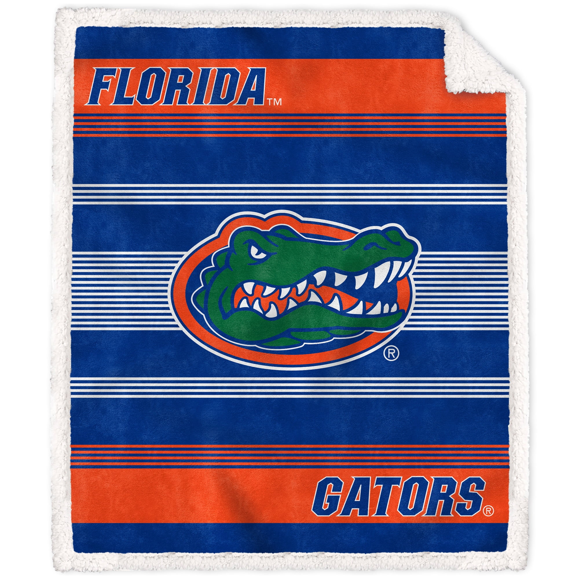 dragon security blanket