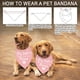 thumbnail image 4 of 1 Bandana triangular ajustable para perro de algodón rosa sin blanquear con temática "Big Sister" (promocionada a Bandanas para mascotas Big Sister), 4 of 9