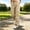 Khaki women cargo pants elastic waist a1, variant on Cagogo Women's Cargo Trousers Elastic Waist Loose Fit with Pockets Casual Streetwear Long Pants Travel Lounge Work Outfits Fall Fashion Winter Clothes, Khaki M
