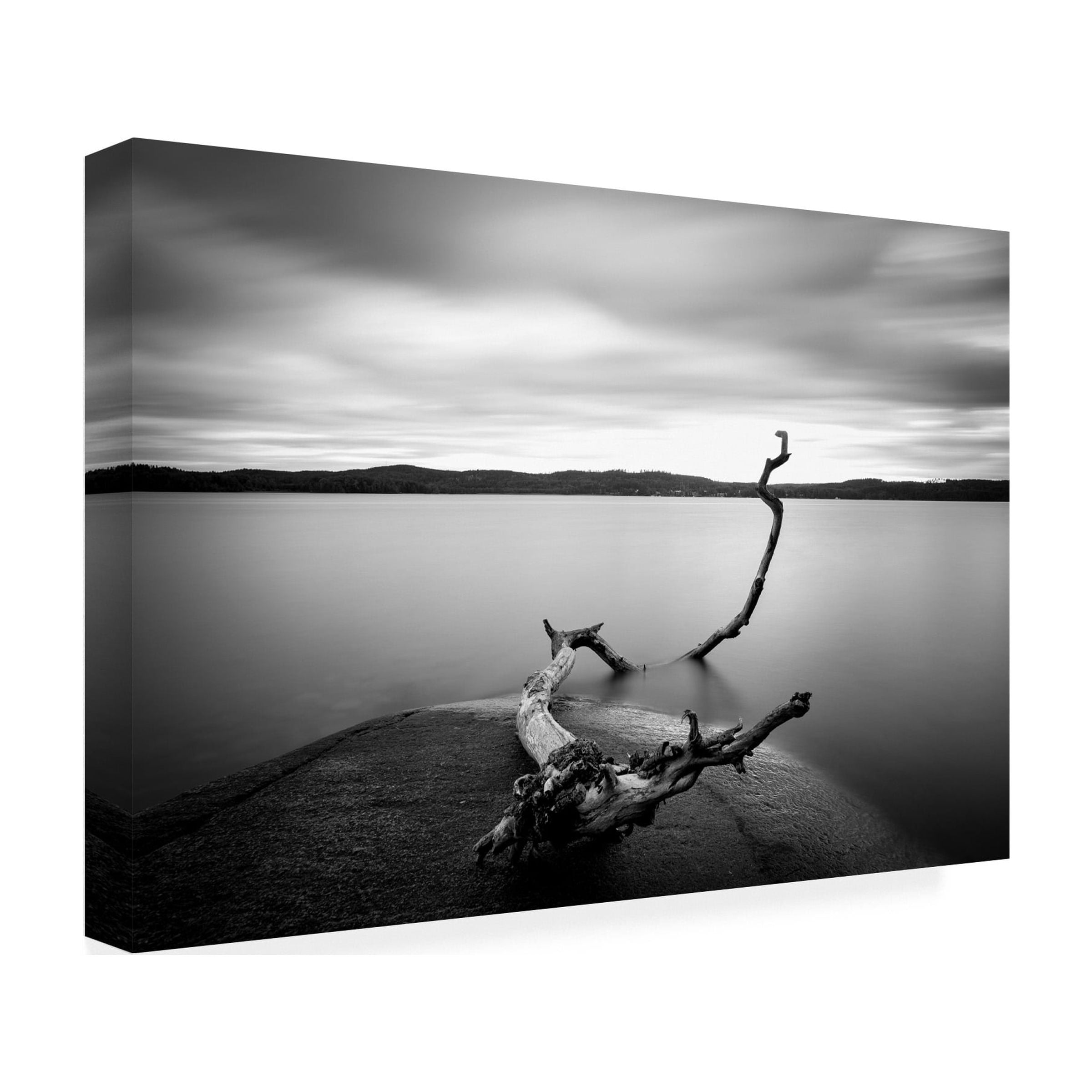 Christian Lindsten 'Branch Long Exposure Lake' Canvas Art