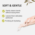 thumbnail image 3 of Fruits & Passion Cucina Coriander and Olive Tree Biodegradable Liquid Hand Soap 16.9 Ounces, 3 of 9