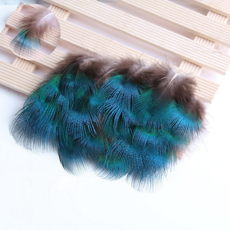 Remake of Peacock Feather, With Cloth & Feather Pieces! : 10 Steps -  Instructables