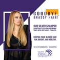 thumbnail image 5 of GK HAIR Global Keratin Silver Bombshell Purple Shampoo (9.5 Fl Oz/280ml) For Blonde, Platinum, Ash, Silver & Gray Hair Moisturizes Dry & Damaged Removes Yellow Brassy Tones, 5 of 7
