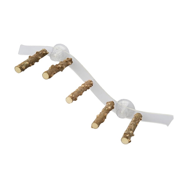 Percha de madera con ventosa para loros, soporte de juego para ventanas y duchas, escalera de juguete estilo C