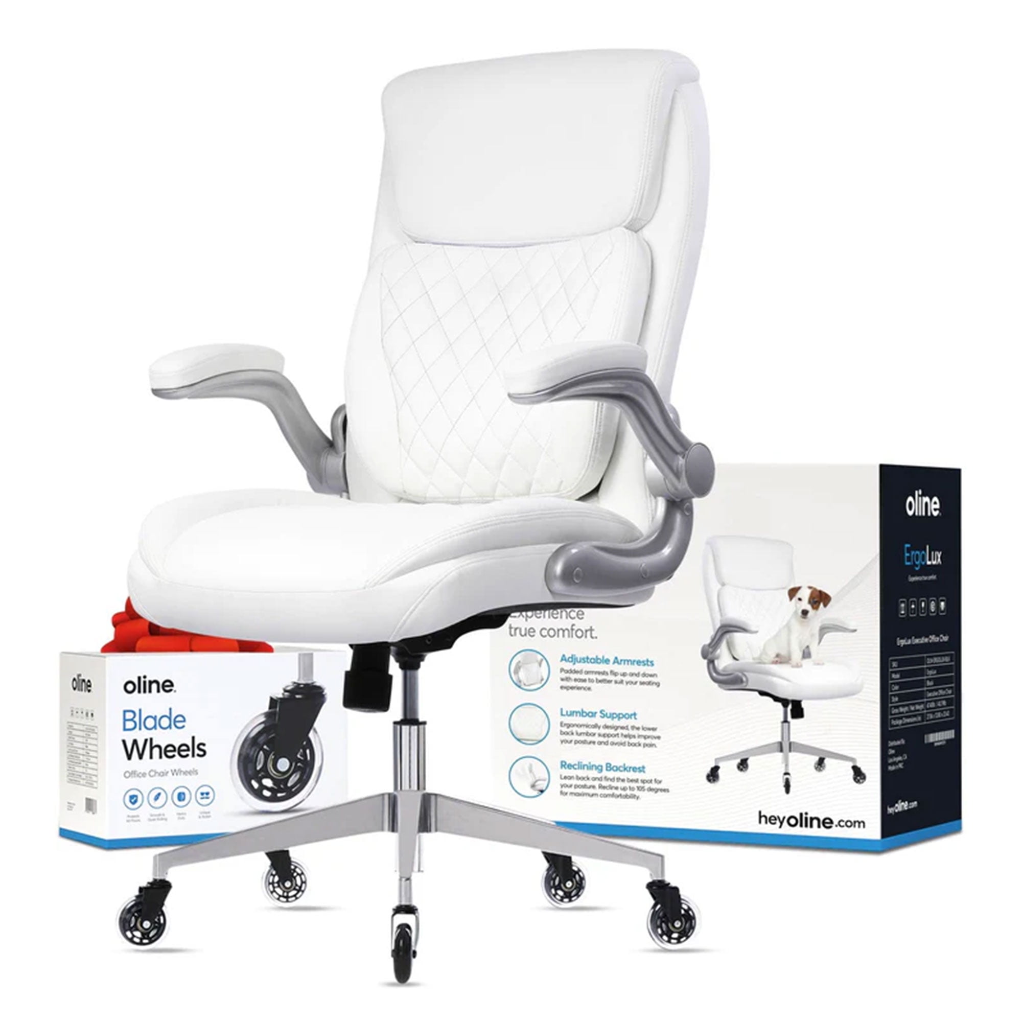 Oline ErgoLux Ergonomic Adjustable Office Chair w/ Lumbar Support