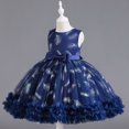 thumbnail image 3 of LOVZFMLL Girls' Summer Short Sleeve Ruffled Lace Round-Neck Embroidery Mesh Princess Bow Skirt, 3 of 3