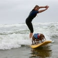thumbnail image 4 of HLONK Dogs Life Jackets Dogs Lifesaver Vest with Rescued Handle for Swimming Boating, 4 of 18