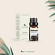 thumbnail image 2 of Aceites Esenciales Aromaterapia Semilla Negra Natural 100% Conjunto con Caja de Regalo 10 ML, 2 of 6