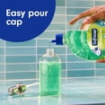 thumbnail image 3 of Softsoap Antibacterial Liquid Hand Soap, Fresh Citrus Scent, 50 fl oz Refill, 3 of 13