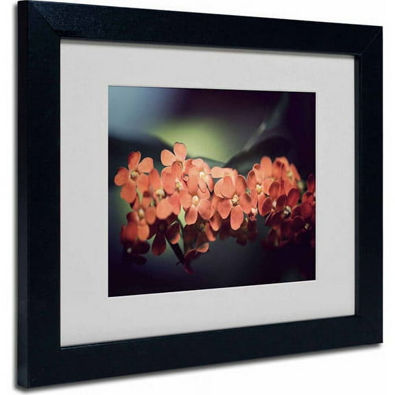Trademark Fine Art "Flowers Waiting" Canvas Art by Philippe Sainte-Laudy, Black Frame