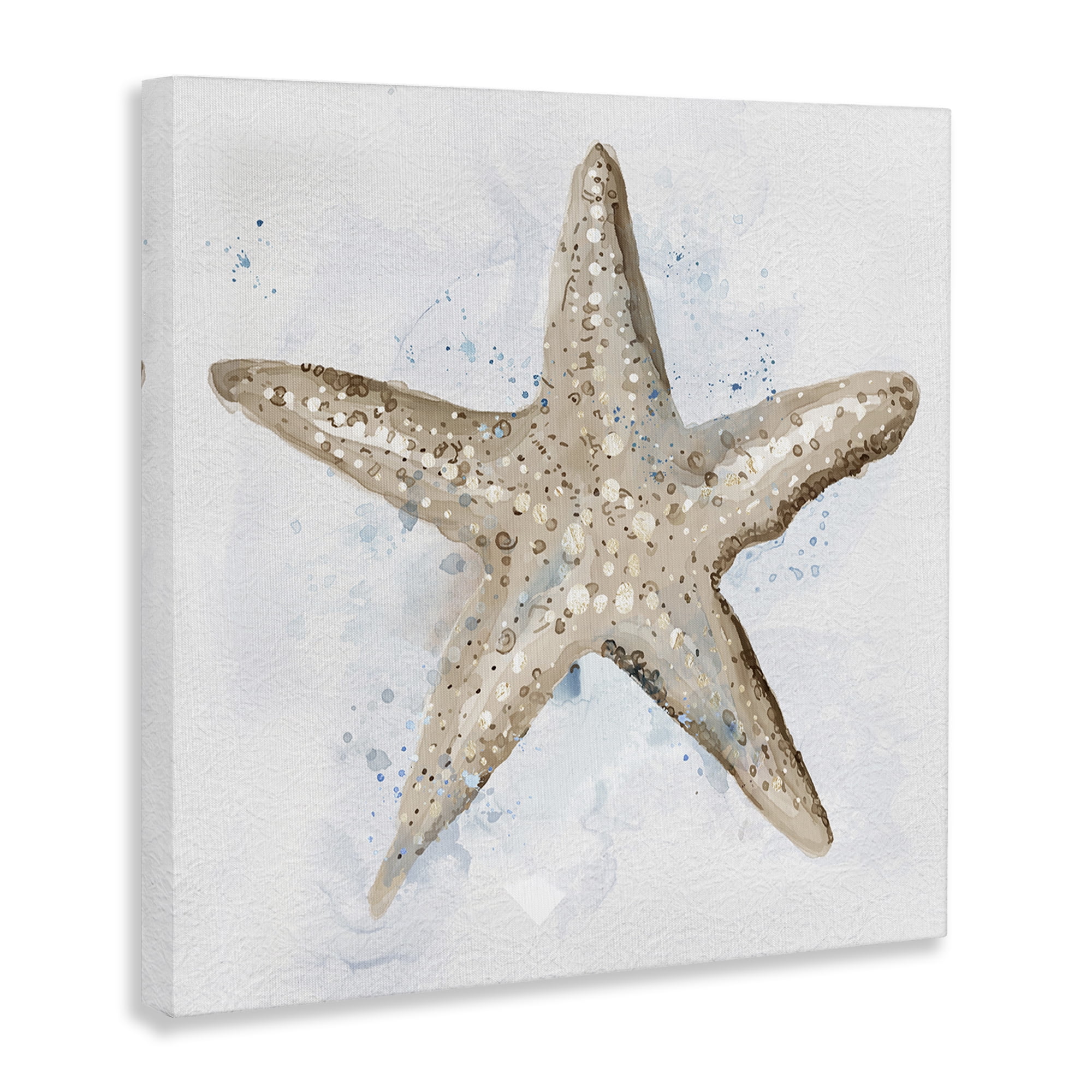 Stupell Industries Bubbly Beige Starfish Animals & Insects Painting Gallery Wrapped Canvas Art Print Wall Art, 17 x 17