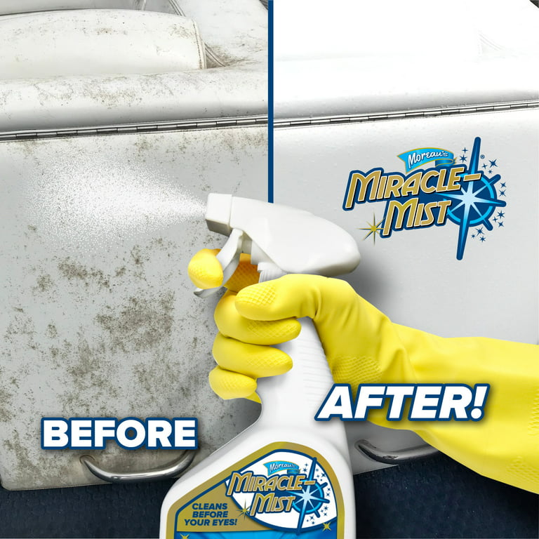 MiracleMist 32-fl oz Mold Remover for Bathroom, Instant Action, No-Scrub  Formula in the Mold Removers department at