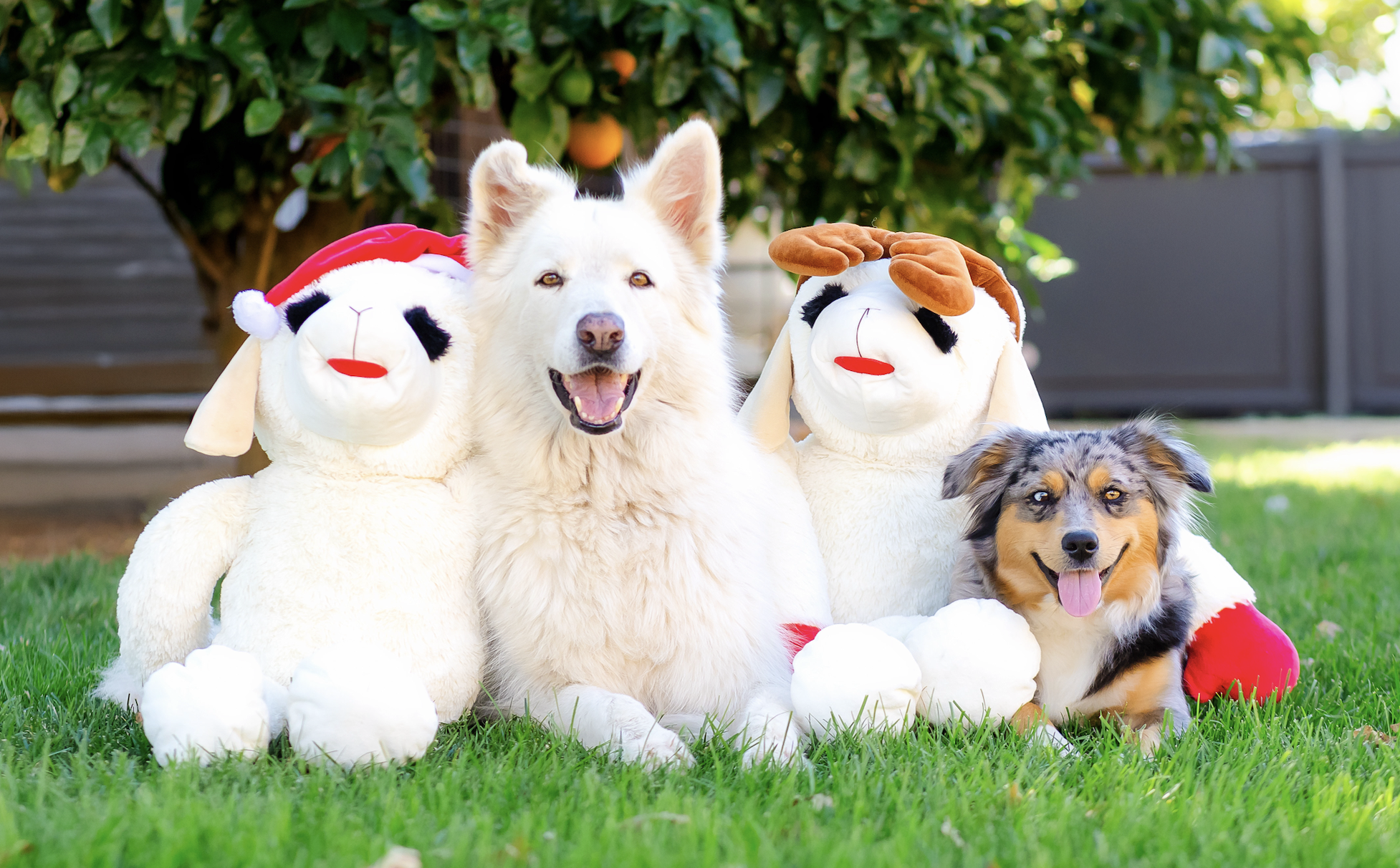 Multipet Plush Super Sized Holiday Lamb Chop Dog Toy, Reindeer with Antlers, 3Ft Tall, Limited Edition