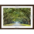 thumbnail image 5 of Savannah, Georgia, USA Oak Tree Lined Road at Historic Wormsloe Plantation. Framed Photographic Print by SeanPavonePhoto, 36" x 24", Sold by Art.com, 5 of 5