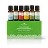 Plant Therapy Wellness Essential Oil Gift Set 10 mL (1/3 oz) each Set Includes: Germ Fighter, Immune-Aid, Respir-Aid, Blues Buster, Eucalyptus and Oregano