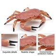 thumbnail image 3 of ABPWLY Toys Colorful Simulation Crab Sea Animals Model Ornaments for Kids Educational Play and Collection with Realistic Details Play Kitchen, 3 of 4